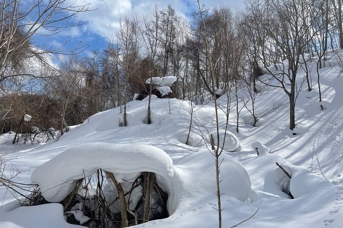 Snowshoeing Adventures in a Winter Wonderland - Sapporo - Tips for a Memorable Experience