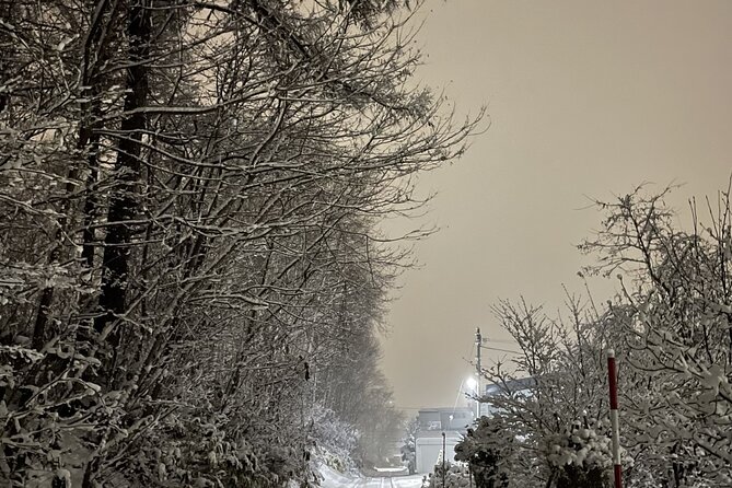Snowshoeing Adventures in a Winter Wonderland - Sapporo - Common Questions
