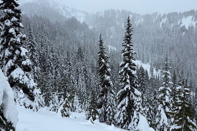 Snowshoeing at Crystal Mountain by Mount Rainier - Logistics & Practicalities