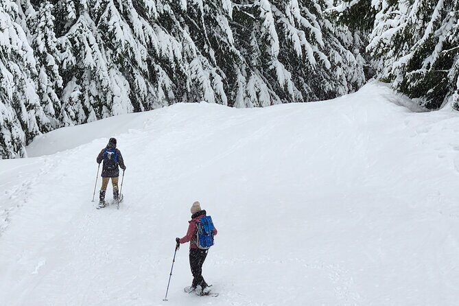 Snowshoeing at Crystal Mountain by Mount Rainier - What Reviewers Have Said