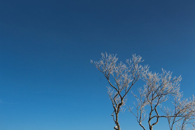 Snowshoeing at Lake Mashu Outer Rim of the Caldera - Additional Information