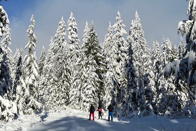 Snowshoeing at The Top of The Sea to Sky Gondola - Tips for a Safe and Enjoyable Snowshoeing Trip