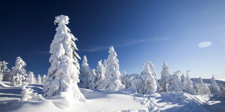 Snowshoeing Experience - Pricing Details