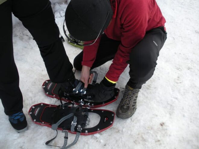Snowshoeing Experience - What to Expect