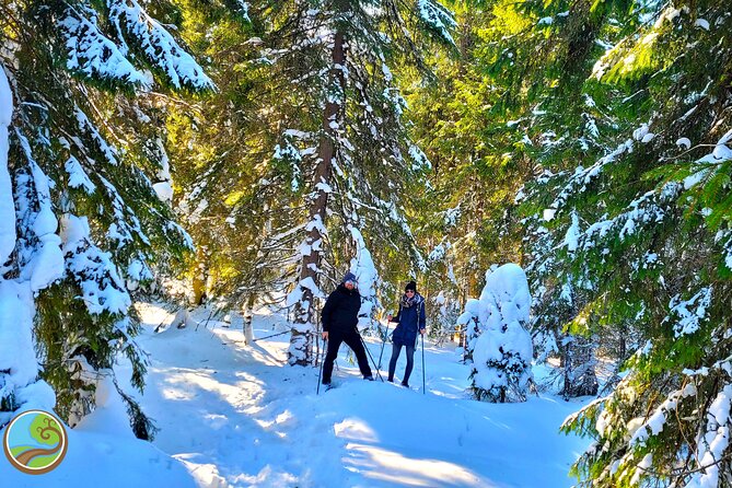Snowshoeing Fun Tour From Cluj Napoca - Reviews