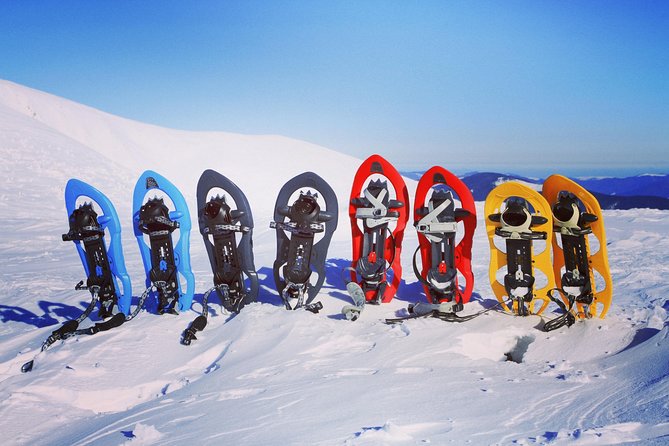 Snowshoeing Fun Tour From Cluj Napoca - Safety and Accessibility