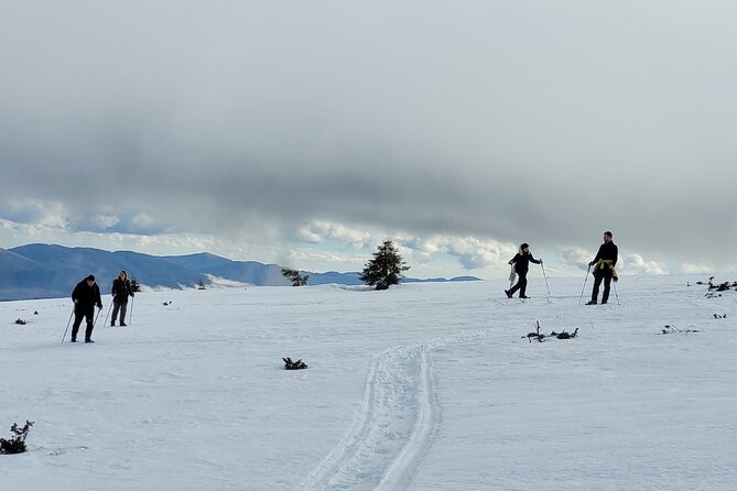 Snowshoeing Fun Tour From Cluj Napoca - The Sum Up