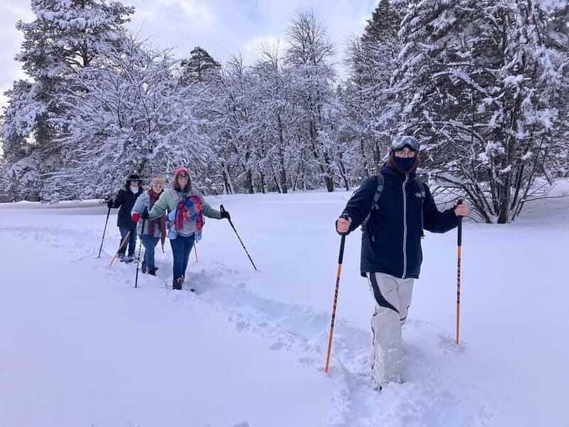 Snowshoeing in Bakuriani, Caucasus Mountains - Good To Know