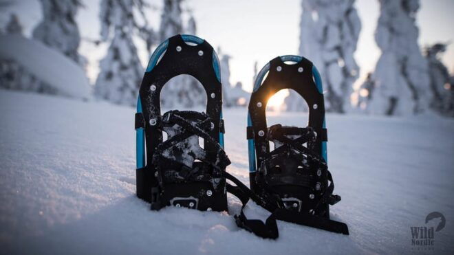 Snowshoeing in the Arctic Wilderness - Preparing for Your Adventure