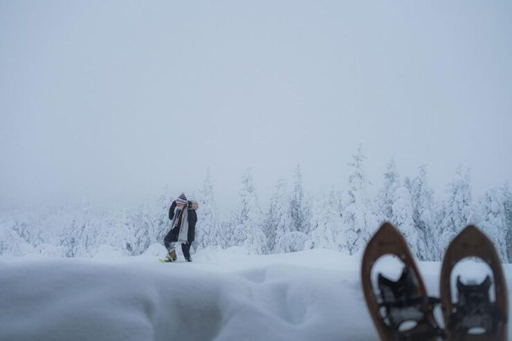 Snowshoeing in the Frozen Forest - Experience Highlights