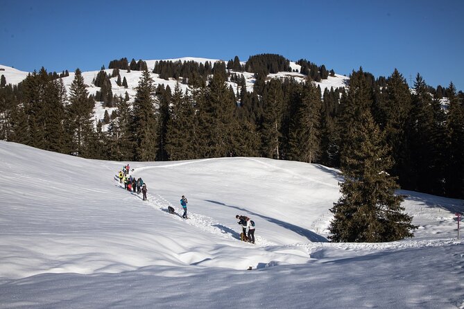 Snowshoeing in the Heart of the Swiss Alps - Snowshoeing Basics