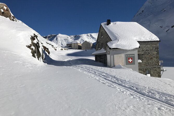 Snowshoeing in the Heart of the Swiss Alps - Wildlife and Nature Spotting
