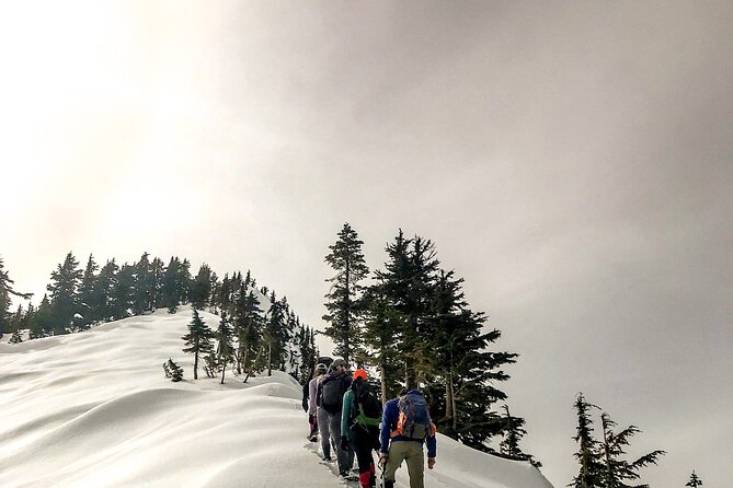 Snowshoeing in the Heart of the Swiss Alps - Best Time to Go Snowshoeing