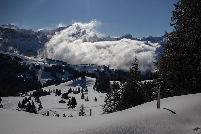 Snowshoeing in the Heart of the Swiss Alps - Common Questions
