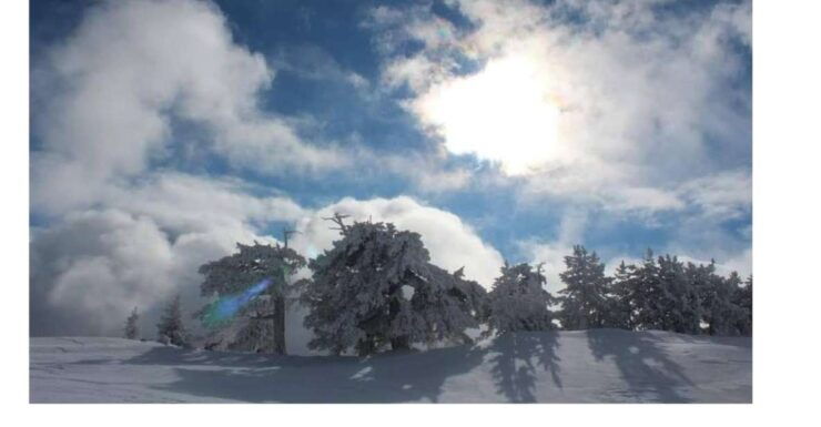 Snowshoeing in the Pollino National Park - Booking Details