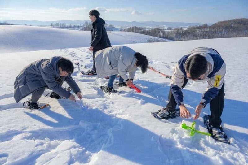 Snowshoeing on a Sparkling Biei Hill & Winter Cafe Time - Good To Know