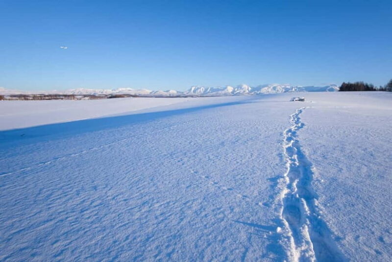 Snowshoeing on a Sparkling Biei Hill & Winter Cafe Time - The Cozy Cafe Experience