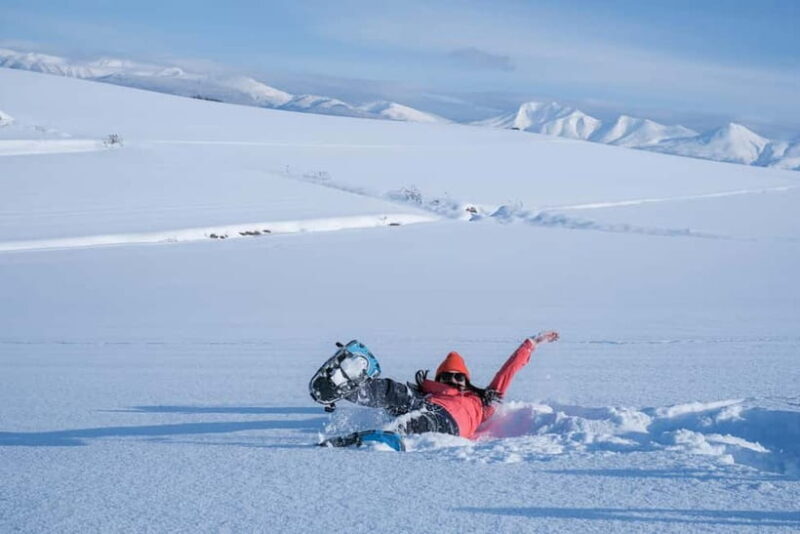 Snowshoeing on a Sparkling Biei Hill & Winter Cafe Time - Good To Know