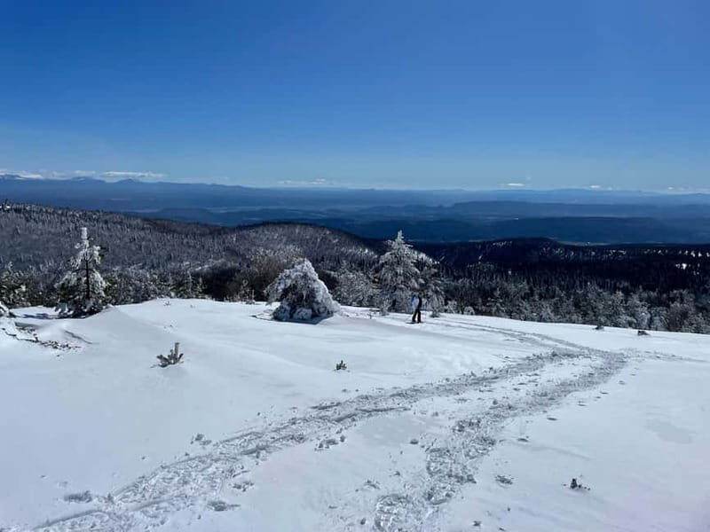 Snowshoeing on the Lure mountain - Snowshoeing on the Lure Mountain — An Authentic Winter Adventure in France