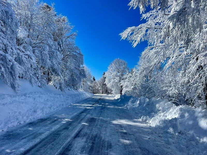 Snowshoeing on the Lure mountain - Detailed Breakdown of the Itinerary