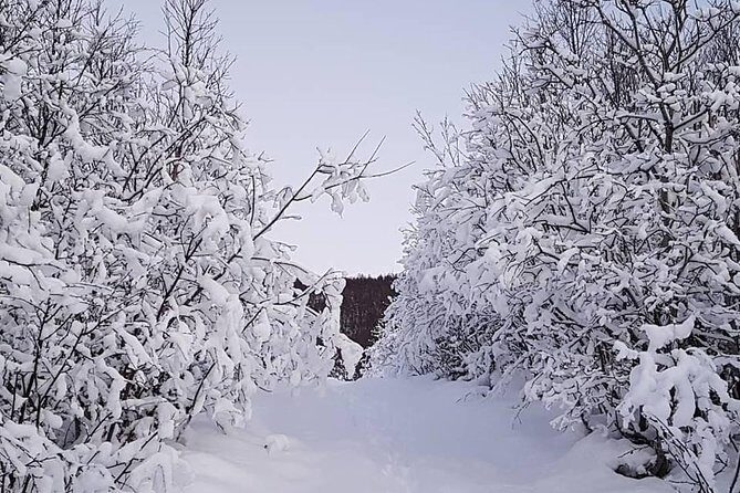 Snowshoeing With A View - Good To Know
