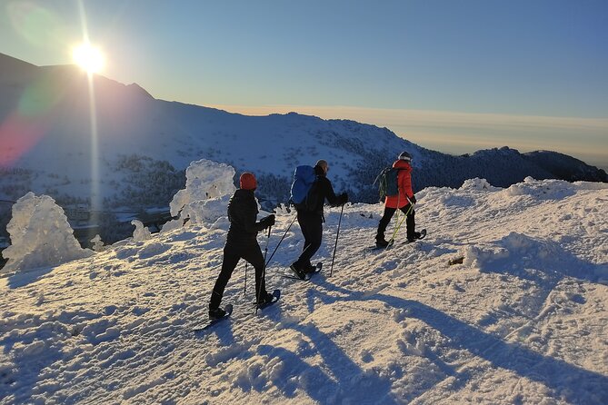 Snowshoes in Madrid - Initiation - Seven Peaks Route - Overview and Inclusions