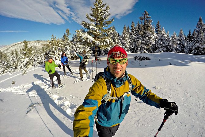 Snowshoes in the Pyrenees From Barcelona - Private Tour - Good To Know