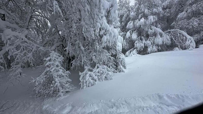 SNOWSHOES - Good To Know