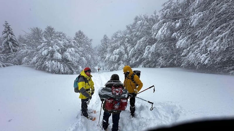 SNOWSHOES - Exploring the Snowshoeing Experience in Nouvelle-Aquitaine