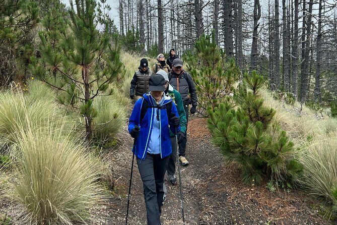 Snowy Colima Day Tour from Guadalajara - Good To Know