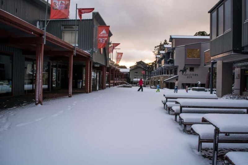 Snowy Mountains: 1-Day Snow Adventure at Thredbo From Sydney - Final Thoughts