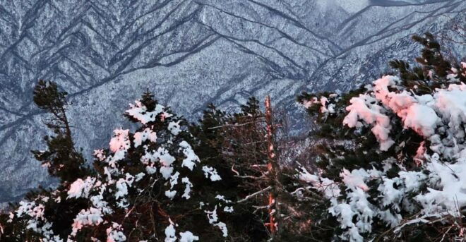 Snowy Mt. Seorak and In-je Maebawi Icewall One Day Tour - Experience Highlights