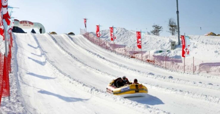 Snowyland With Strawberry Picking & Alpacas or Garden - Key Points