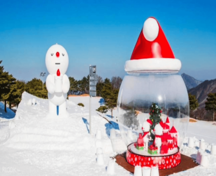 Snowyland With Strawberry Picking & Alpacas or Garden - Tour Options and Pricing