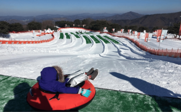 Snowyland With Strawberry Picking & Alpacas or Garden - Important Booking Information