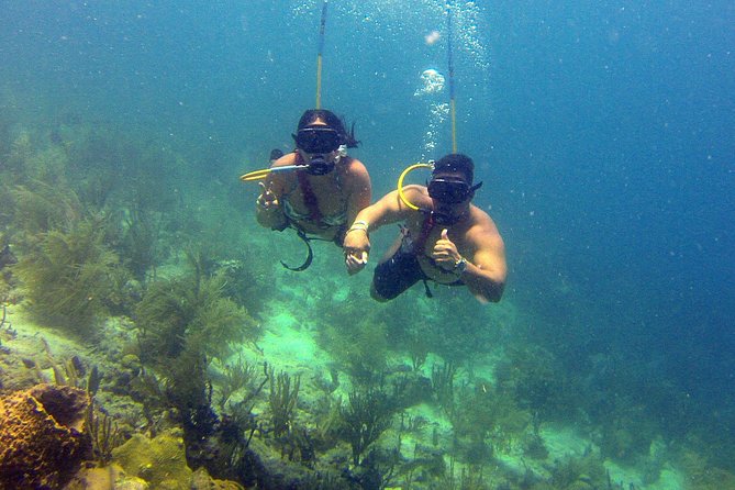 Snuba Adventure at Coral World Ocean Park - Marine Life and Sightings During Snuba Adventure