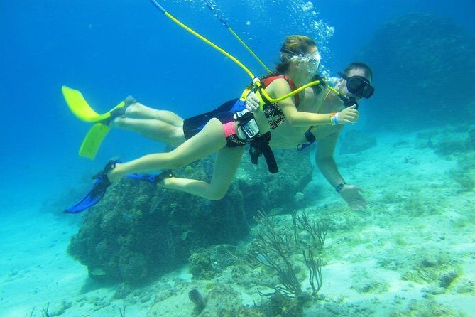 SNUBA Cozumel Underwater Adventure inside Chankanaab National Park - How Does It Compare to Other Tour Options?