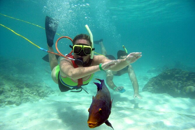 Snuba Snorkelking Parasailing and Catamaran Pack - Inclusions