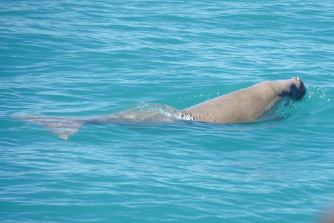 Snubfin Dolphin Eco Cruise From Broome - Pickup and Drop-off Locations
