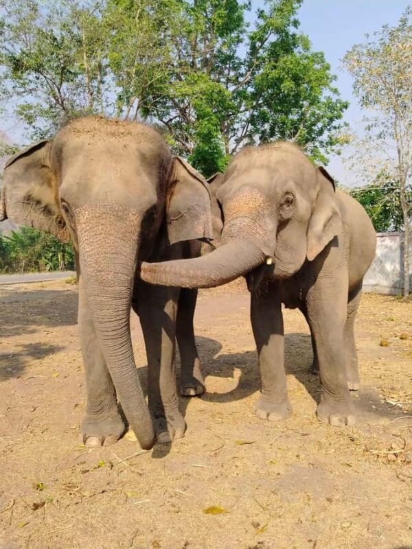 SO MANY BAD TITLES - Good To Know