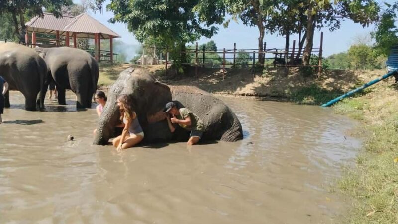 SO MANY BAD TITLES - What You Can Expect from the Tour