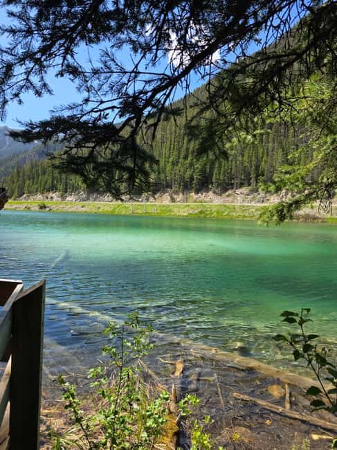 Soak & Explore: Radium Hot Springs and Kootenay Park Tour - Authentic Reviews and Insights