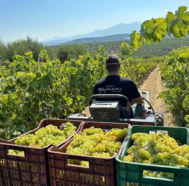Soap, Wine, Raki, Olive Oil, Meet the local Producers Tour - A Detailed Look at the Tour Experience