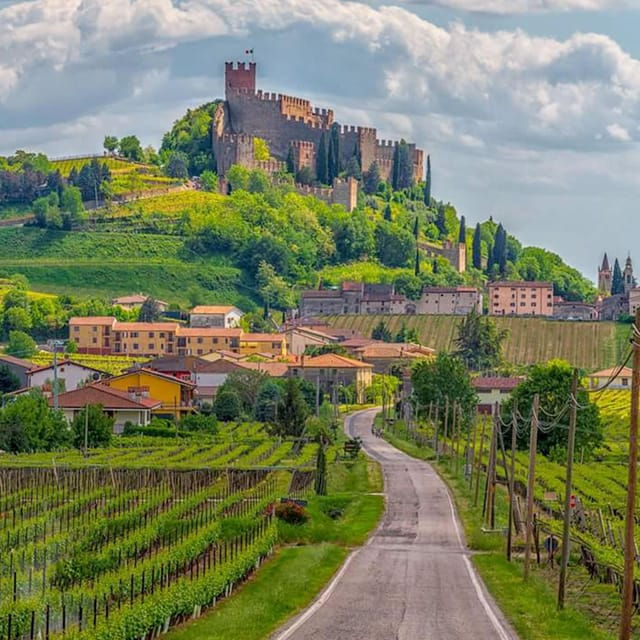 Soave by Bike, Olive Oil, Wine, the Countryside, the Castle. - Tour Experience Overview