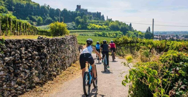 Soave by Bike, Olive Oil, Wine, the Countryside, the Castle. - Exploring by E-Bike