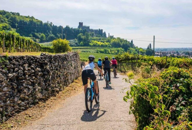 Soave by Bike, Olive Oil, Wine, the Countryside, the Castle. - Wine Tasting Experience