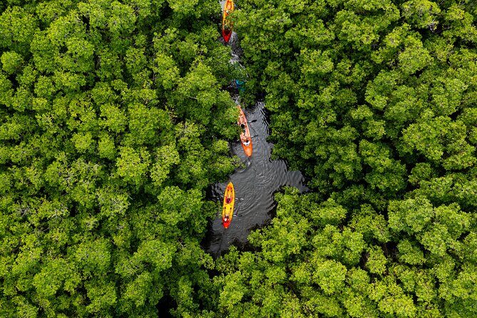 SoCoHo Eco Kayak and Snorkel Tour - Unpacking the Experience: What to Expect from the SoCoHo Eco Kayak and Snorkel Tour