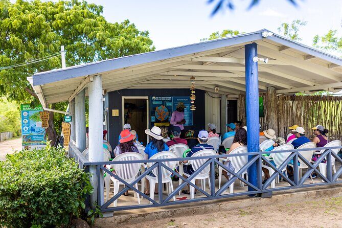 SoCoHo Eco Kayak and Snorkel Tour - Final Thoughts: Is the SoCoHo Eco Kayak and Snorkel Tour Worth It?