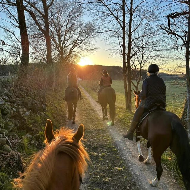 Söderåsen National Park: 1.5h Horseback Ride - Terrain and Scenery