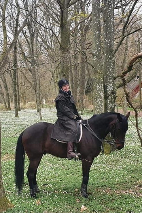 Söderåsen National Park: 1.5h Horseback Ride - Good To Know